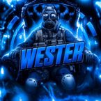 w9ster
