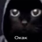 slon's profile picture