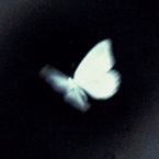 lxneira