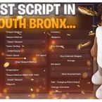 bestsouthbronxscript