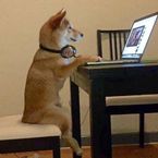 shibascripts