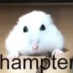 hampster's profile picture
