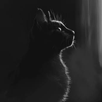 vw6222's profile picture