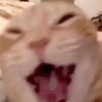 Ace89_2's profile picture