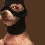 lalaloris614's profile picture