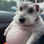 jennyx's profile picture