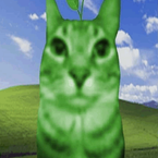 Nitroxes's profile picture
