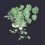 aokazk's profile picture