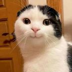 R3v3n4nT's profile picture