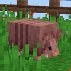 Testmzn's profile picture