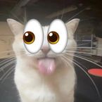imnotreallol's profile picture