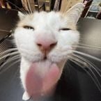 stinky69's profile picture