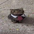 env_