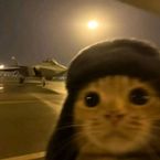 realityx's profile picture