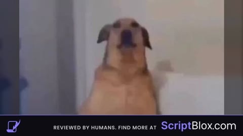 Dw script (Old version v1)
