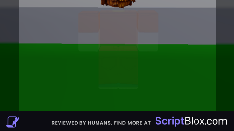 Body Transparency Client Side