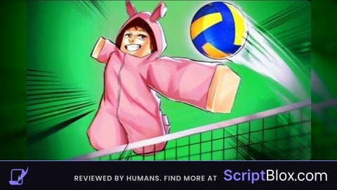 Volleyball legends admin pannle