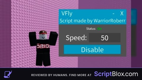 Vechicle Fly