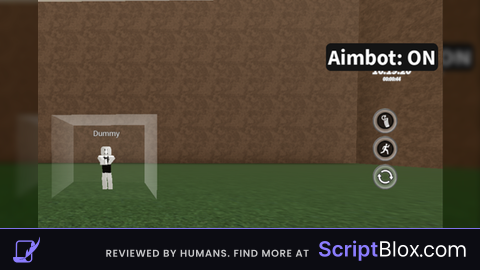 Aimbot x hitbox expander for bot and npc