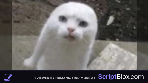 c00lkidd script