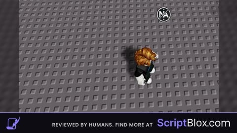 Nameless admin script
