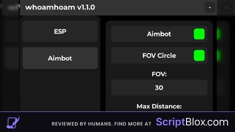 Whoamhoam v1 1 0 AimBot ESP