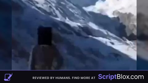 Simple flashlight script