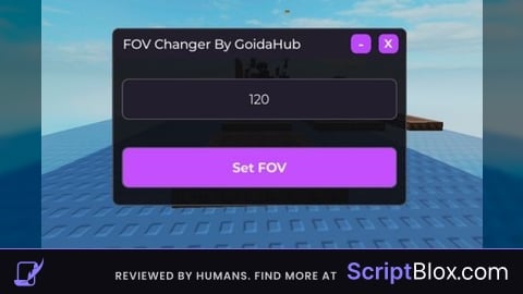 FOV Changer GoidaHub