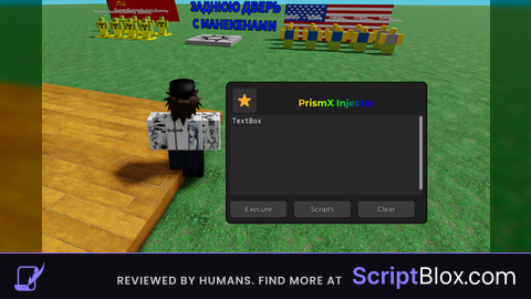 Prism injector