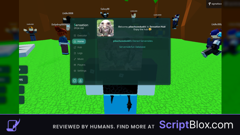 require script sensation hub