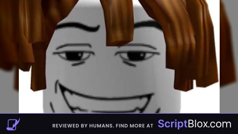 b0c0n gui