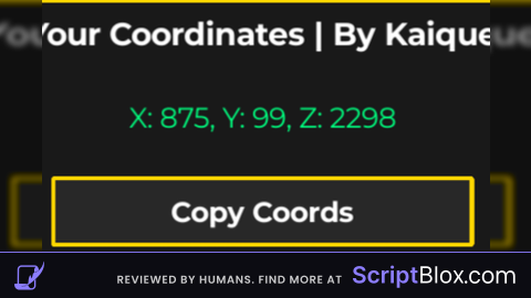 Player Coordinates