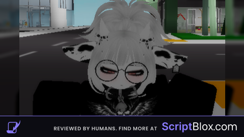 2017 kidnap van thingy