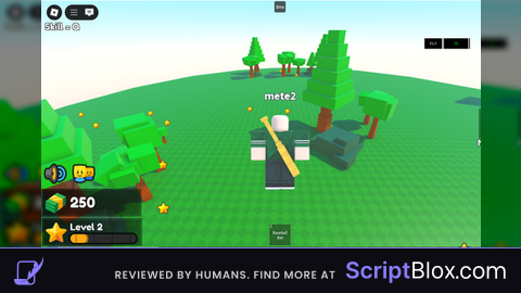 FLY SCRPT V1