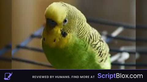 Subplace finder