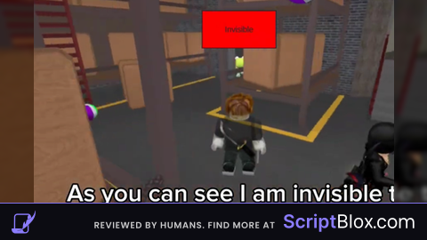 Invisible
