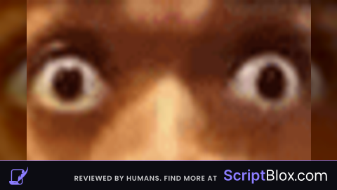 INV SCRIPT