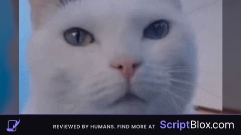 Waypoint Teleport Script