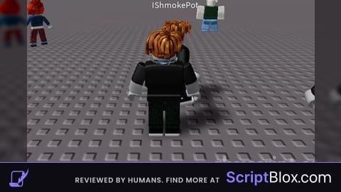 Anti Afk No Gui