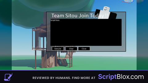 Sitou Executor