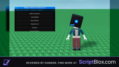 Nullware V3