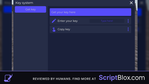 Key system with fake platoboost site