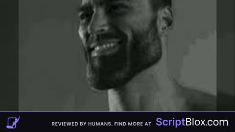 Fly script v56