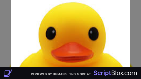 Ducky ss