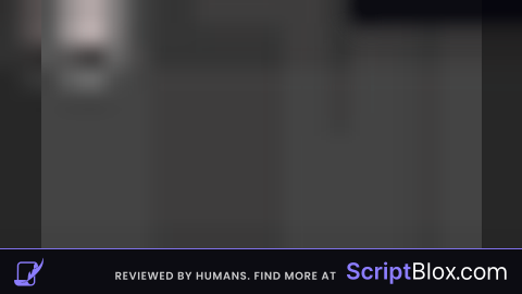 script fly