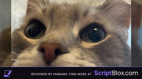 Super secret script