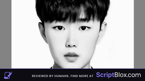 Fly Script
