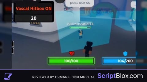 Vascal Hitbox Expander