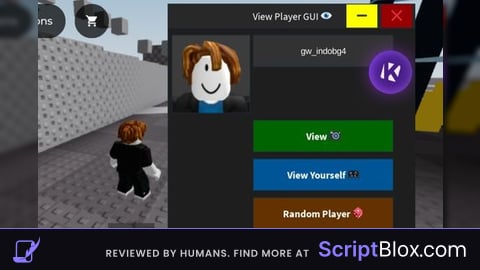 View Player GUI
