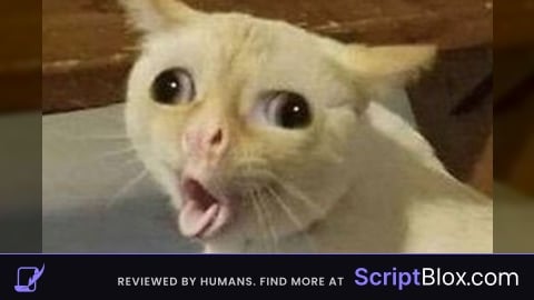 free all animation universal script